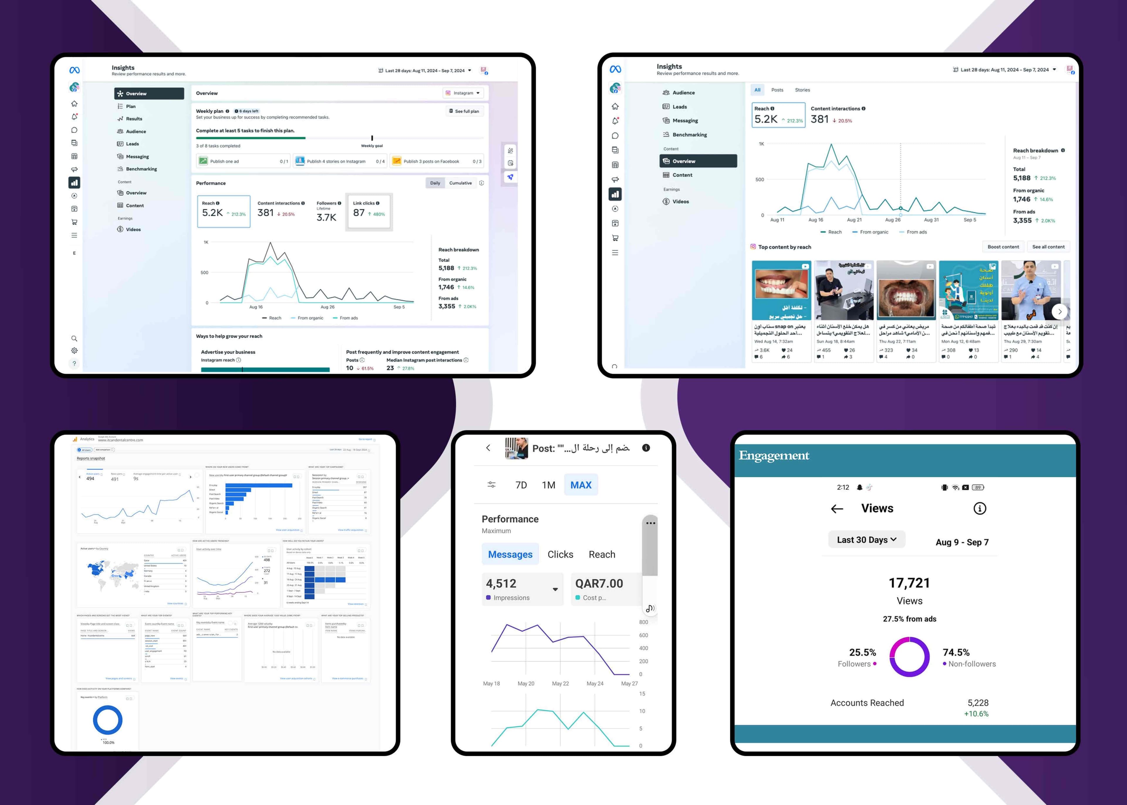 Meta Insights dashboard showing reach, interactions and follower growth thumbnail